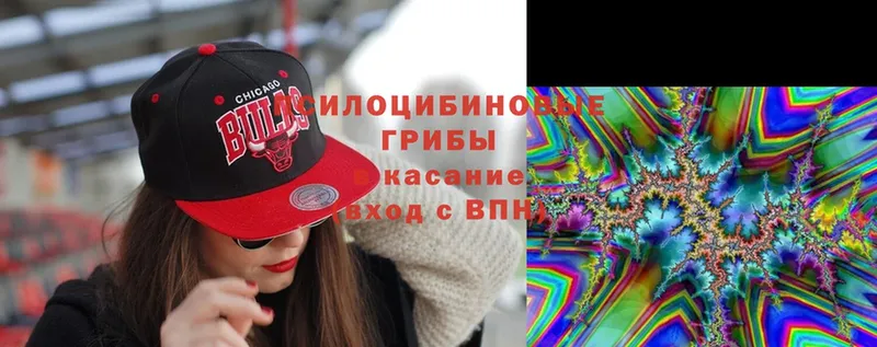 купить   Алейск  Псилоцибиновые грибы Magic Shrooms 